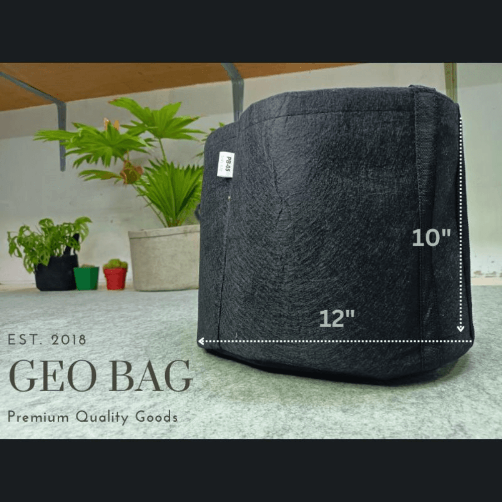 Premium Quality GEO Bag 05 Gallon ( DIa 12" Hight 10" ) -1 PCS / Plant Grow Bags, Synthetic Pot