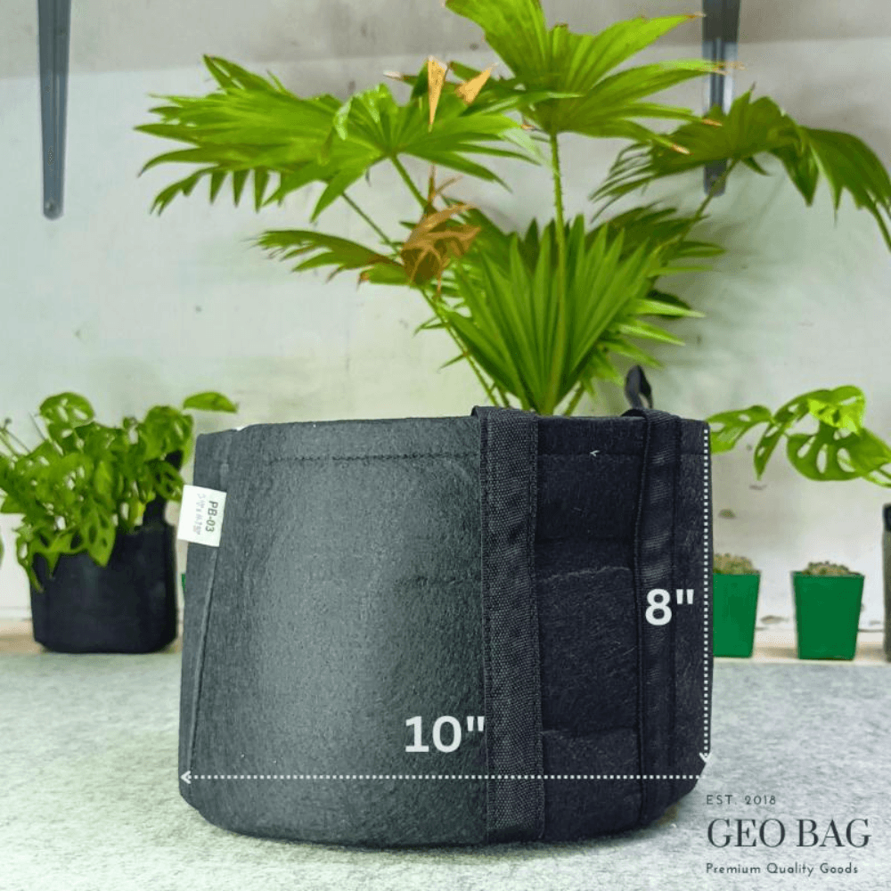 Premium Quality GEO Bag 03 Gallon ( DIa 10" Hight 8" ) -1 PCS / Plant Grow Bags, Synthetic Pot
