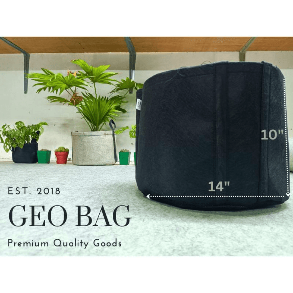 Premium Quality GEO Bag 07 Gallon ( DIa 14" Hight 10" ) -1 PCS / Plant Grow Bags, Synthetic Pot